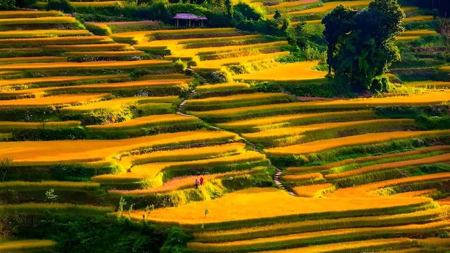 Enchanting Landscapes via 4-Day Guilin, Yangshuo & Longji Rice Terraces Journey