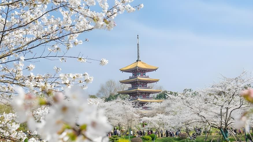 Journey Joyfully by Experiencing Wuhan Like a Local