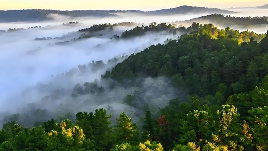 Discover Northeast China’s Hidden Forest Paradise Adventure