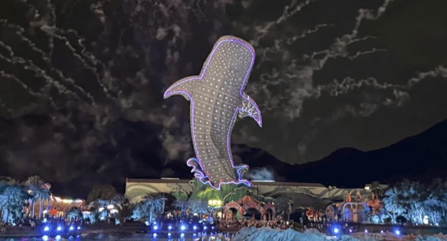 Wandering in the Zhuhai Chimelong Ocean Kingdom