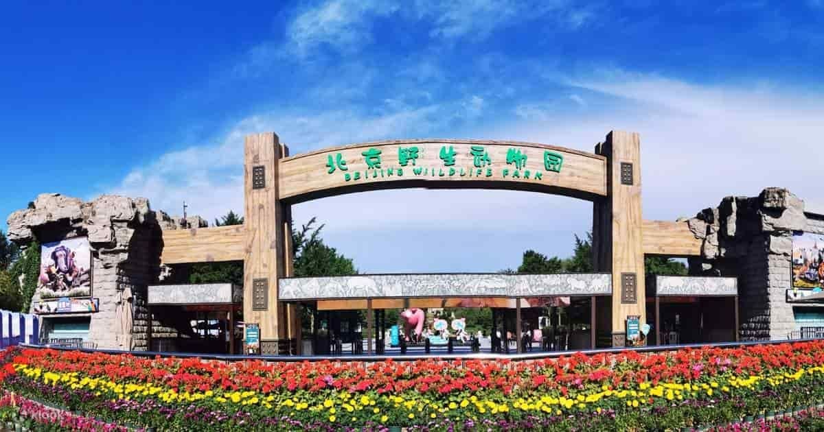 Beijing Wildlife Park Admission