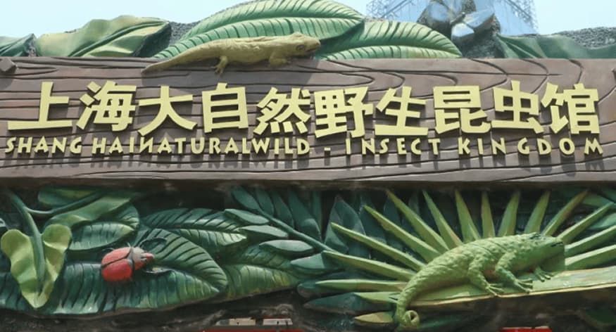 Shanghai Natural Wild Insect Kingdom Tickets