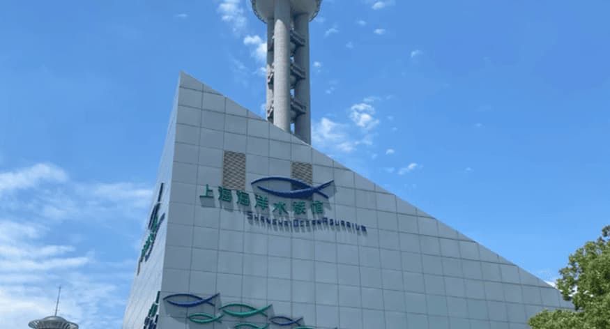 Shanghai Ocean Aquarium Tickets