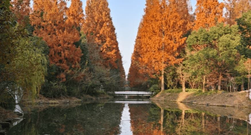 Shanghai Dongping National Forest Park Tickets