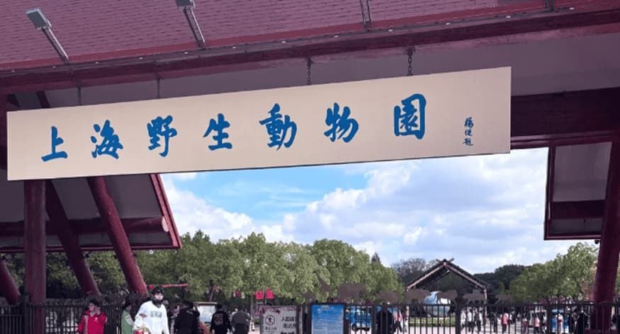 Shanghai Wild Animal Park Tickets