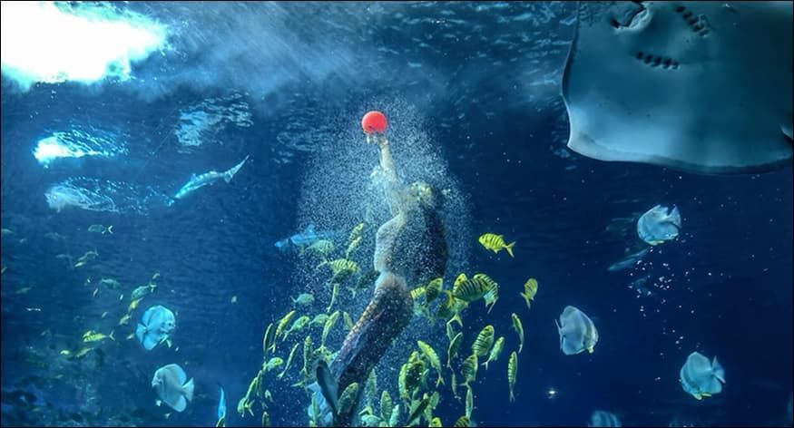 Pacific Ocean Underwater World Entry