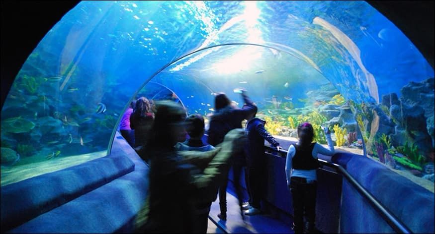 Blue Zoo Beijing Entry