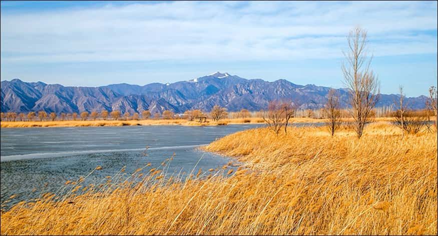 Wild Duck Lake Wetland Park Admission