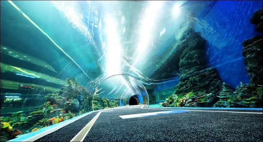 Cube Oceanarium Sea World Pass